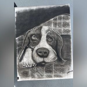Charming Black and White Dog Illustration